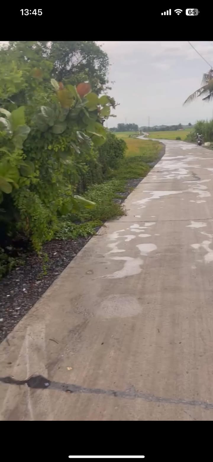 Đất mặt tiền đường Petong, xã Thái Mỹ, Củ Chi 666m² - Giá chỉ 750 triệu, bớt lộc!