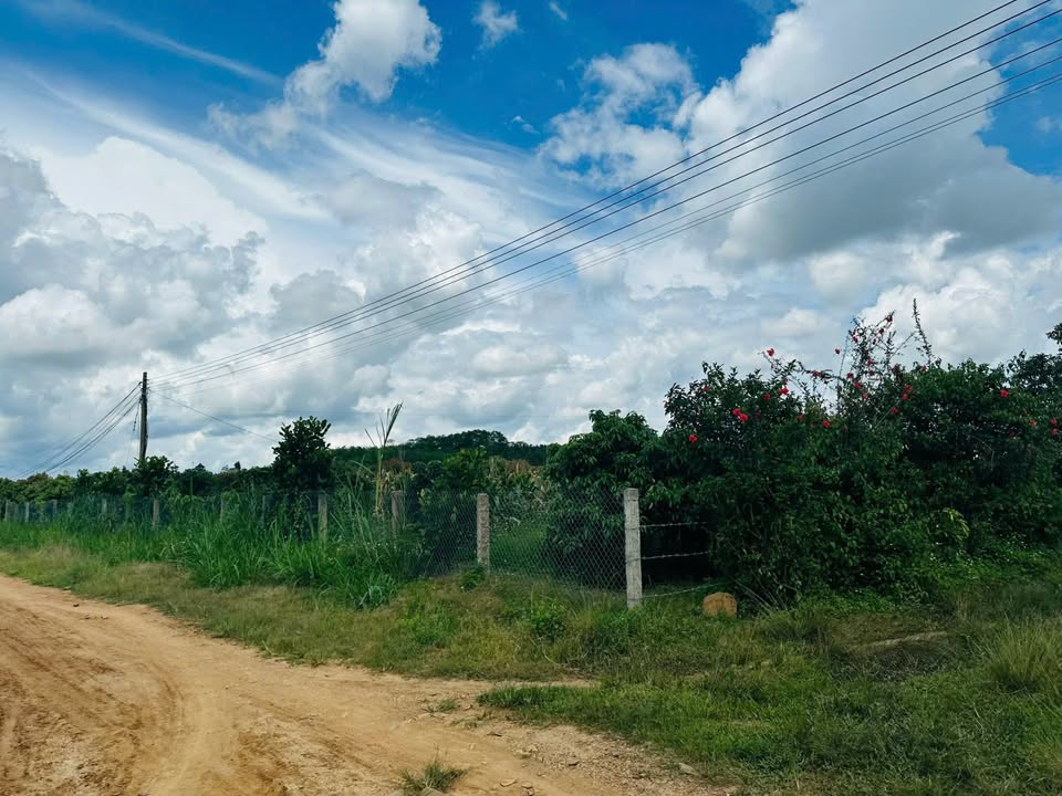 Đất Easar, Ea Kar 3600m² giá 648 triệu - Sổ hồng nguyên lô cực hiếm!