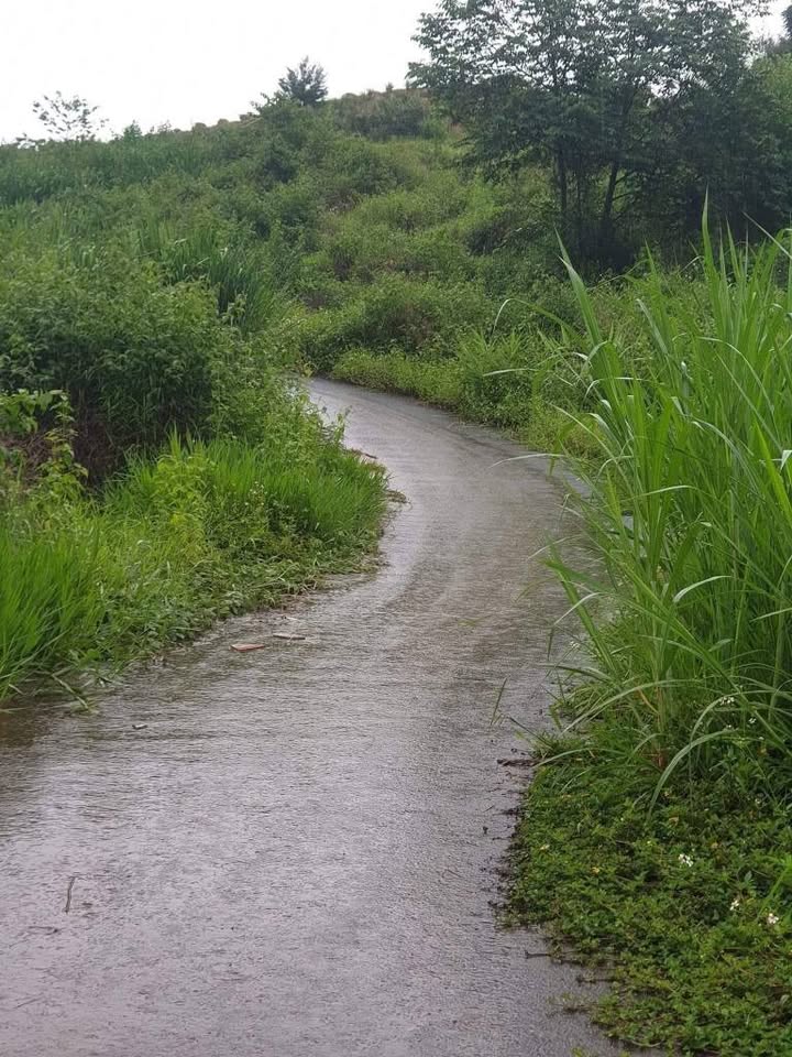 Đất B'lao Bảo Lộc 2357m² giá 2.3 tỷ - View suối thoáng đãng!