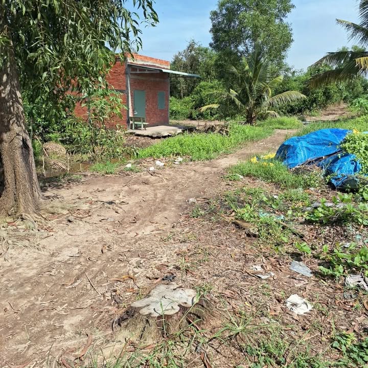 Đất nền Tân Thành, Thủ Thừa 1000m² giá 350 triệu - Đường ô tô vào tận nơi!