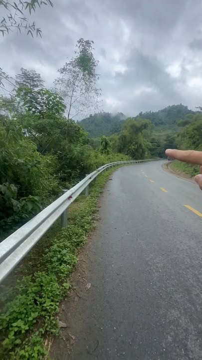 Đất vườn Lai Đồng, Tân Sơn, Phú Thọ 4.400m² giá 900 triệu - Cơ hội đầu tư tuyệt vời!