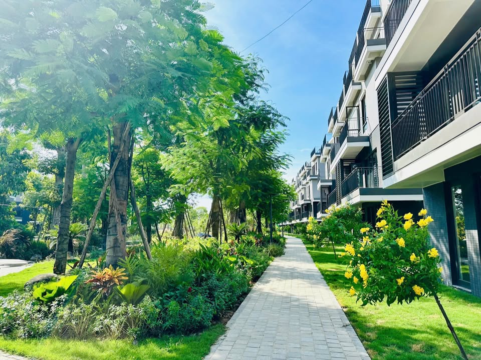 Biệt thự song lập Eco Central Park Vinh 162m² giá 9.3 tỷ - Vị trí đắc địa gần clubhouse!