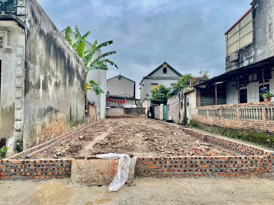 Đất lô góc Thái Đường, Hiền Ninh, Sóc Sơn 142m² giá chỉ 20 triệu - Cơ hội đầu tư tuyệt vời!