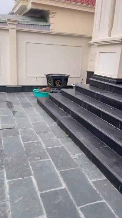 Biệt thự tân cổ điển 200m² tại đường 401, Hải Phòng - Gần chợ, trường học, chỉ 9 tỷ!