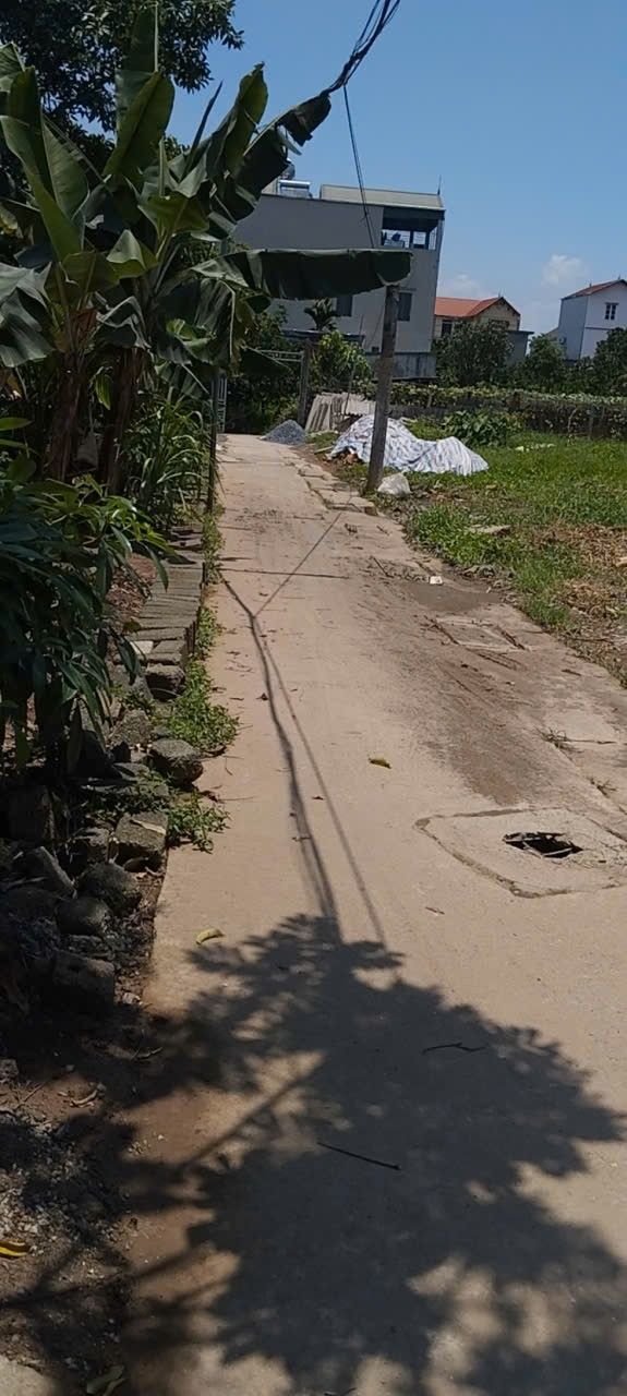 Đất nền thôn Cao Xá, xã Dân Hoà 46m² giá 1.7 tỷ - Sổ đỏ chính chủ!