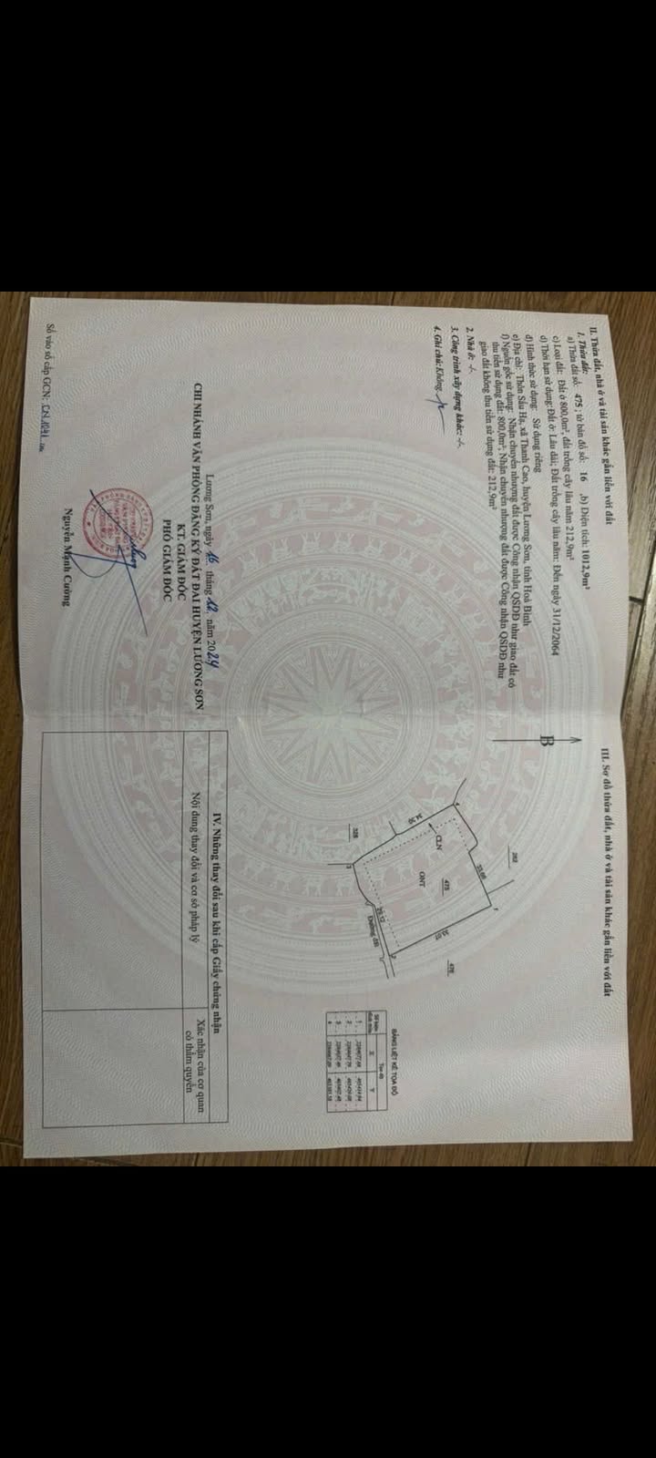 Đất nền Thanh Cao 1000m² giá chỉ 2 triệu/m² - Cơ hội đầu tư sinh lời!