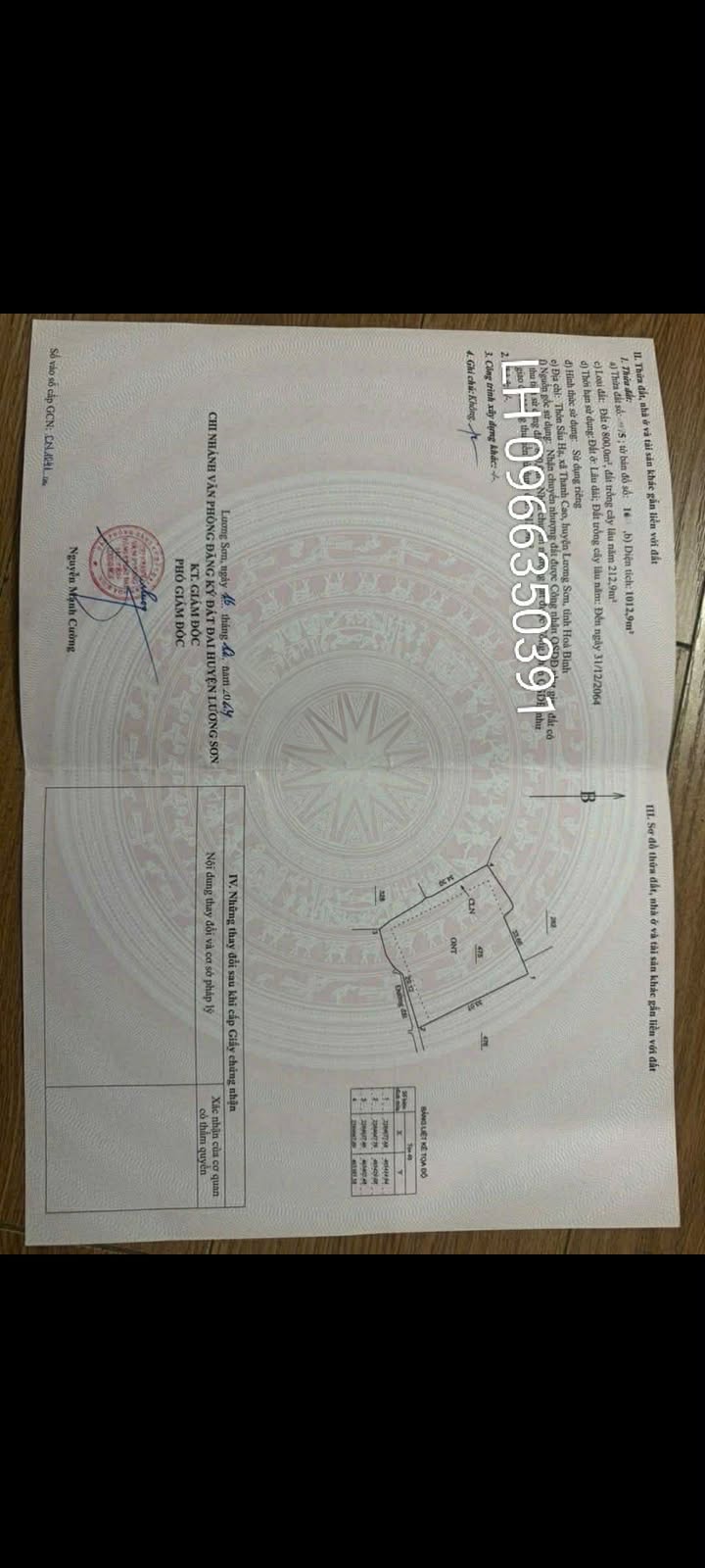 Đất thổ cư 800m² tại Thanh Cao, Lương Sơn Hòa Bình - Phù hợp nghỉ dưỡng chỉ 2,7 triệu/m²!