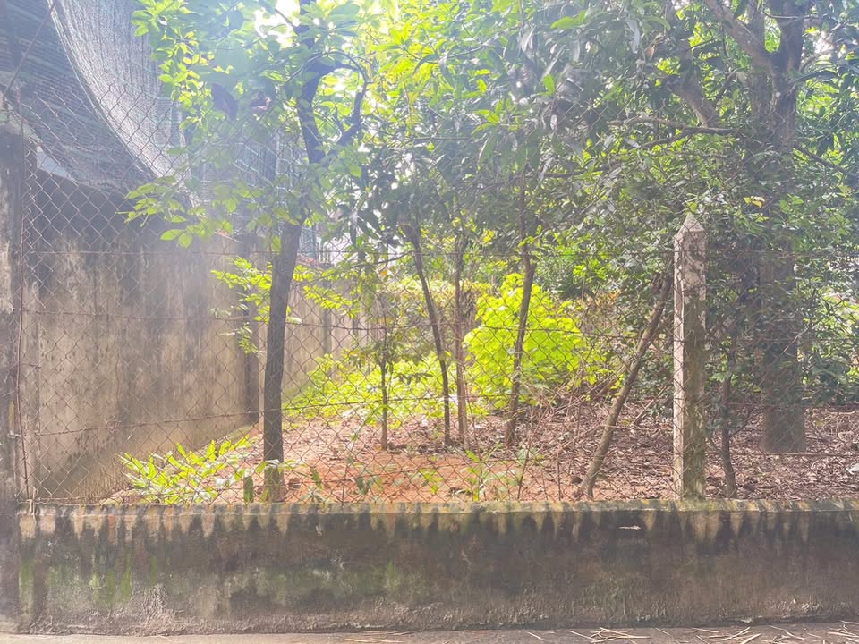 Đất thổ cư Hiệp An Thủ Dầu Một 213.75m² giá 2.1 tỷ - Cơ hội đầu tư sinh lời!