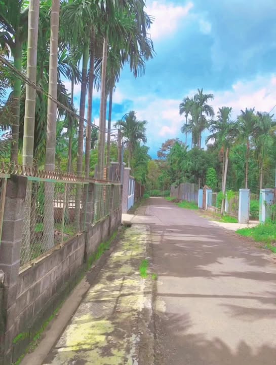 Đất nền Tân Hòa, Cư Kuin 246m² chỉ 1.5 tỷ - Cơ hội đầu tư sinh lời!