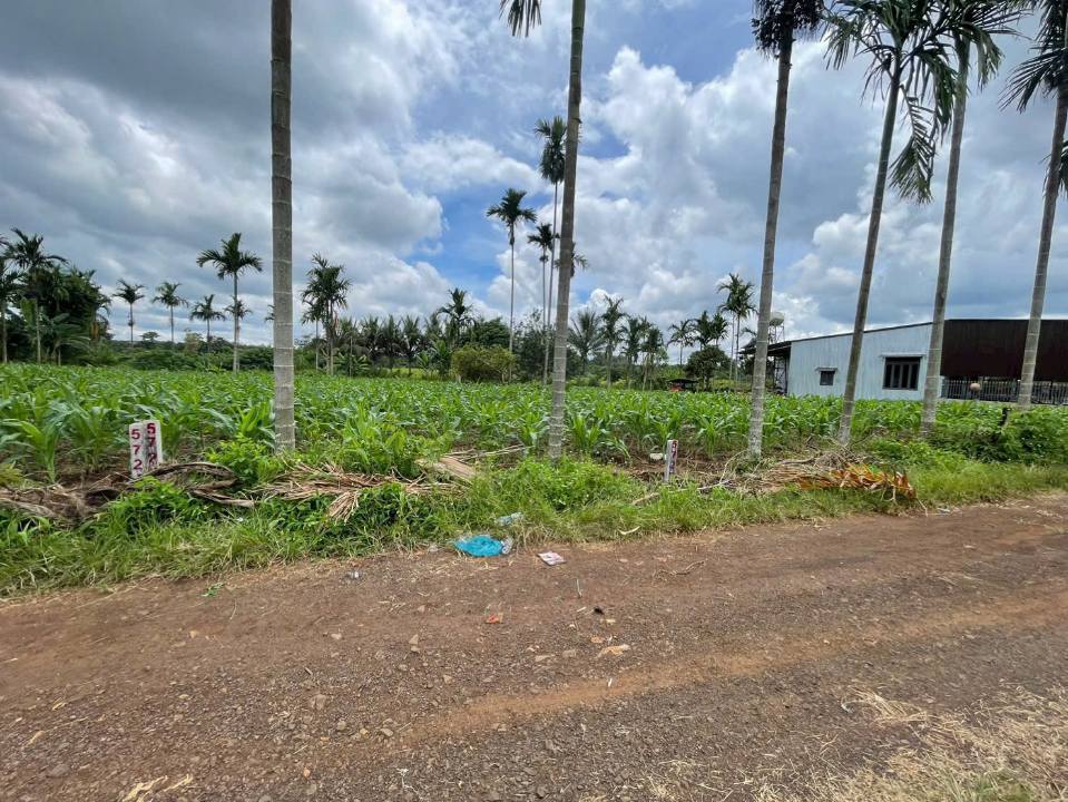 Đất thổ cư thôn 2, xã Ea Bhôk 280m² chỉ 295 triệu - Cơ hội đầu tư hiếm có!