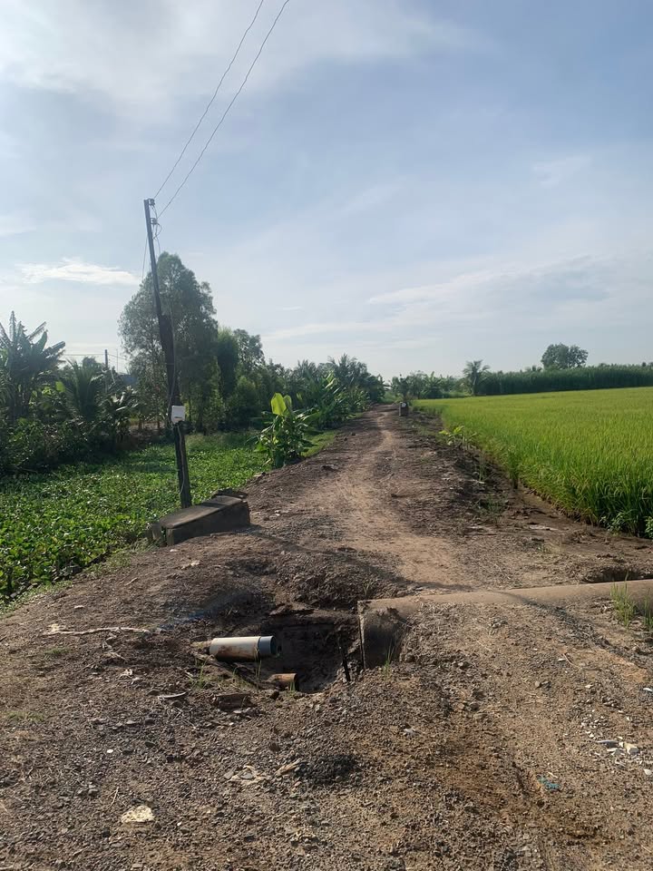 Đất nền Gia Thuận 1800m² giá 3 tỷ - Tiềm năng phát triển du lịch