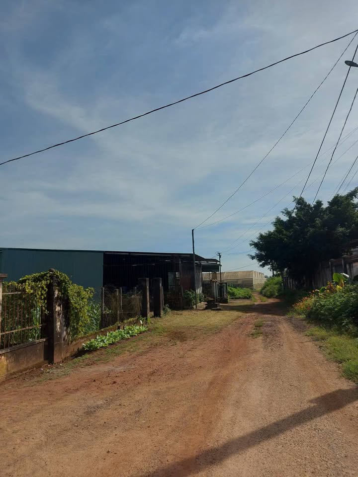 Đất ở Hẻm 02 Võ Duy Dương, Pleiku 150m² - Hướng Nam, Giá 1.1 tỷ VND