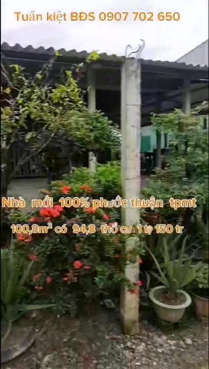 Nhà mặt tiền đường bê tông khu Phước Thuận, 100,8m² giá 1,15 tỷ - Ô tô vào tận nhà!