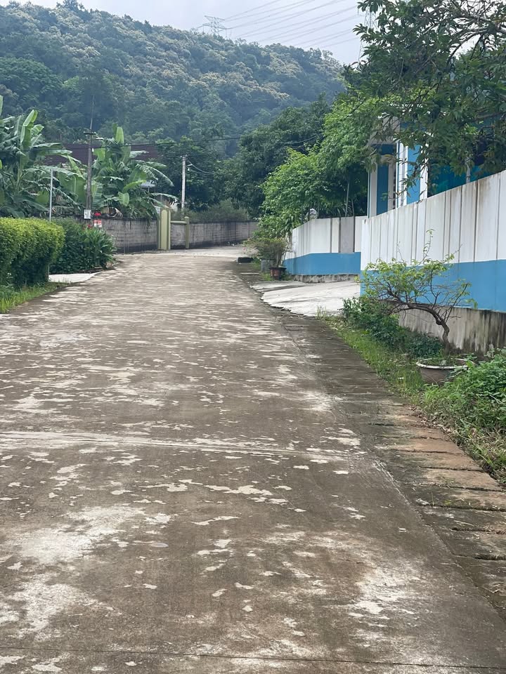 Đất thổ cư 154m² tại Nghĩa Đàn - Giá chỉ 500 triệu, hướng Đông Bắc