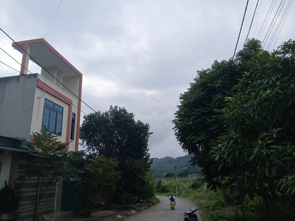 Đất nền tái định cư Vũ Trọng Phụng 100m² giá 1.495 tỷ - Cơ hội đầu tư hấp dẫn!