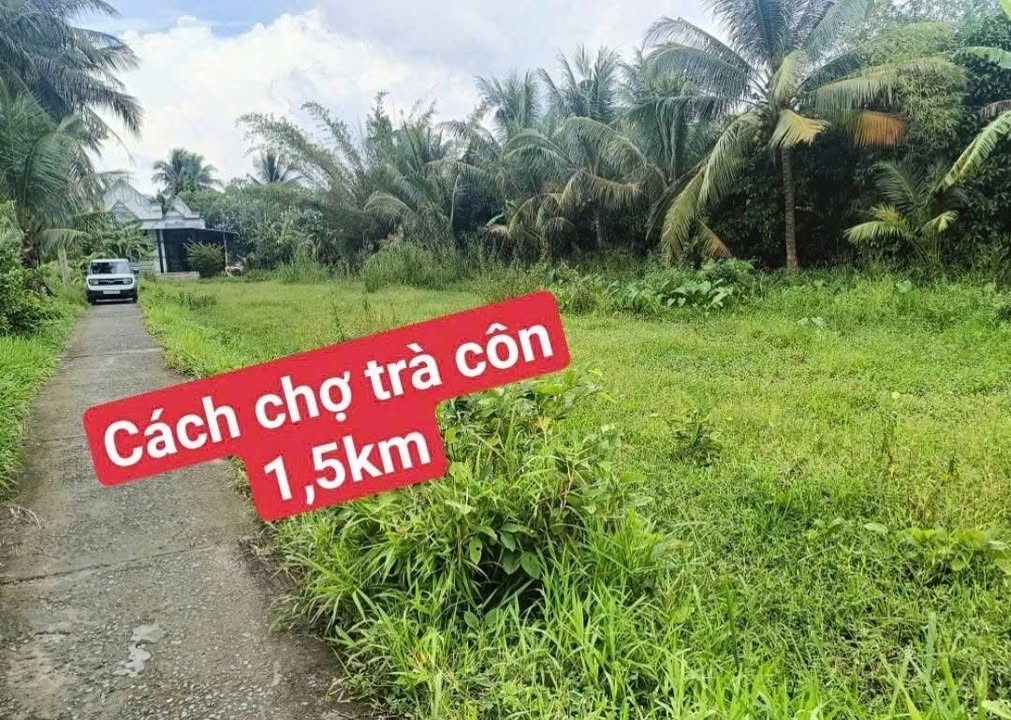 Đất nền Trà Côn, Trà Ôn 60m² giá 99 triệu - Sổ đỏ chính chủ, công chứng ngay!