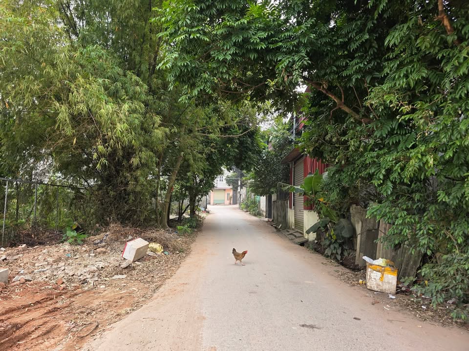 Đất lô góc giãn dân Lãm Trại Bắc Ninh 164m² giá chỉ 1x.x tỷ - Cơ hội đầu tư tuyệt vời!