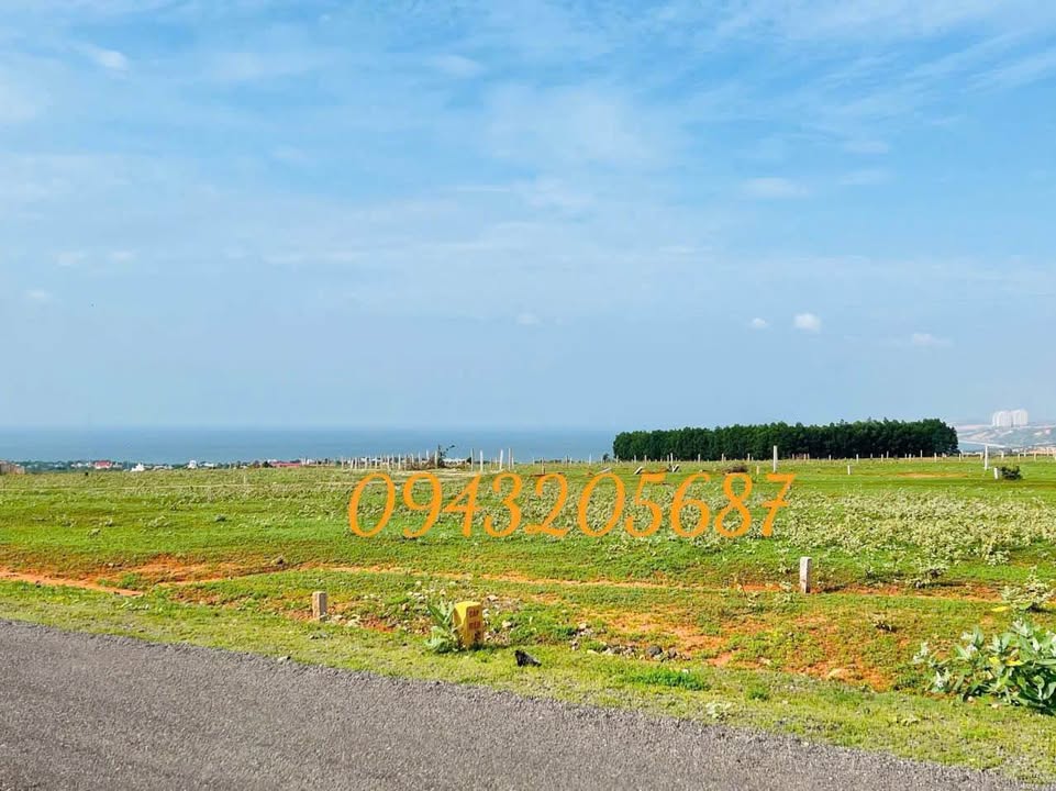 Đất nền Hòa Thắng - Bắc Bình 2000m² - View biển tuyệt đẹp, đầu tư sinh lời!