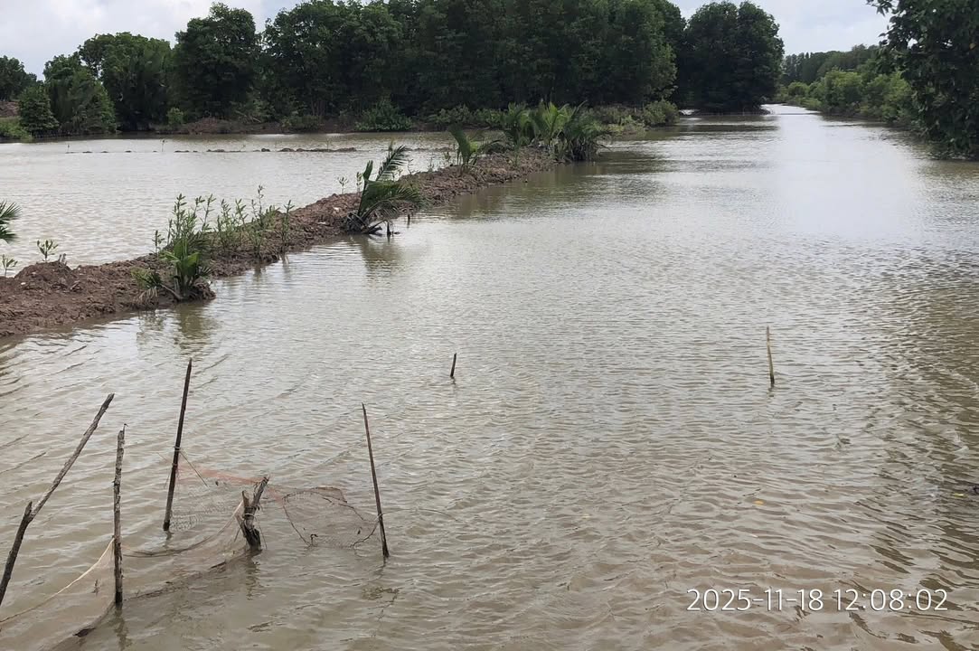 Đất nền 20.000m² tại ấp Cồn Tàu, Trường Long Hòa, giá 95 triệu - Cơ hội đầu tư hấp dẫn!