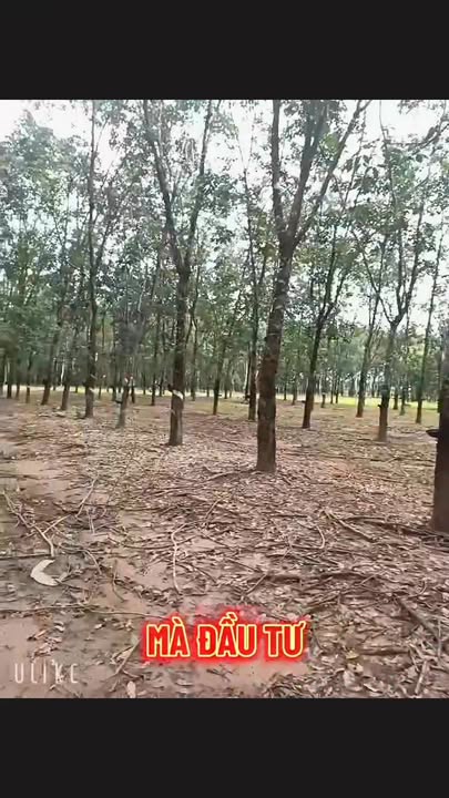 Đất nền Xuân Thành, Xuân Lộc 53.000m² giá 5.52 tỷ - Đầu tư sinh lời ngay!