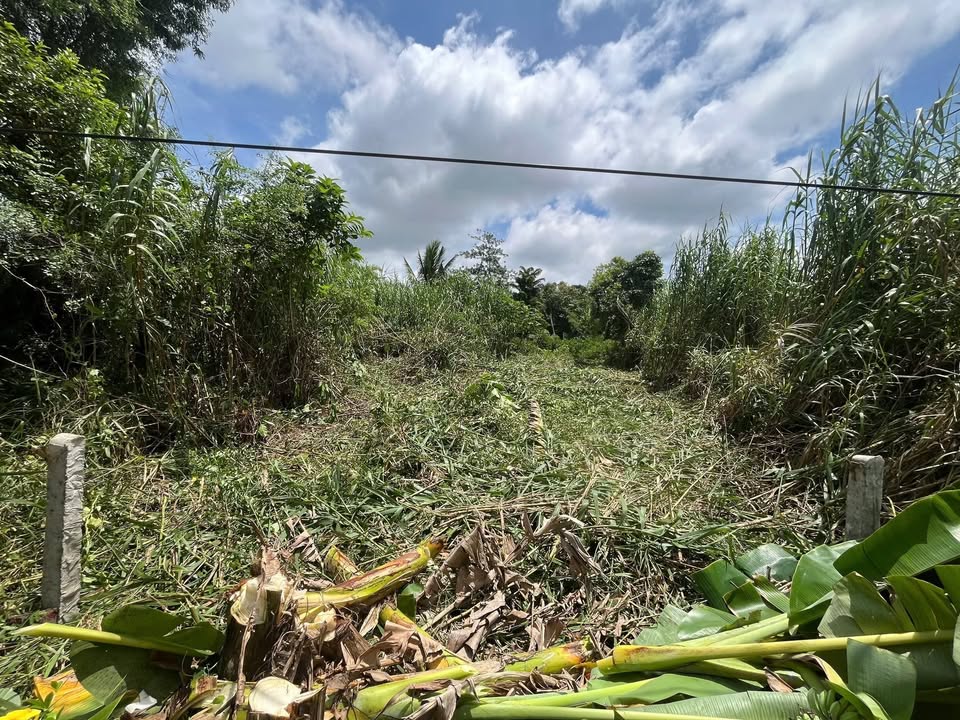 Đất nền mặt tiền Rạch Sung Nhơn Nghĩa 103m² giá chỉ 560 triệu - Cơ hội đầu tư vàng!