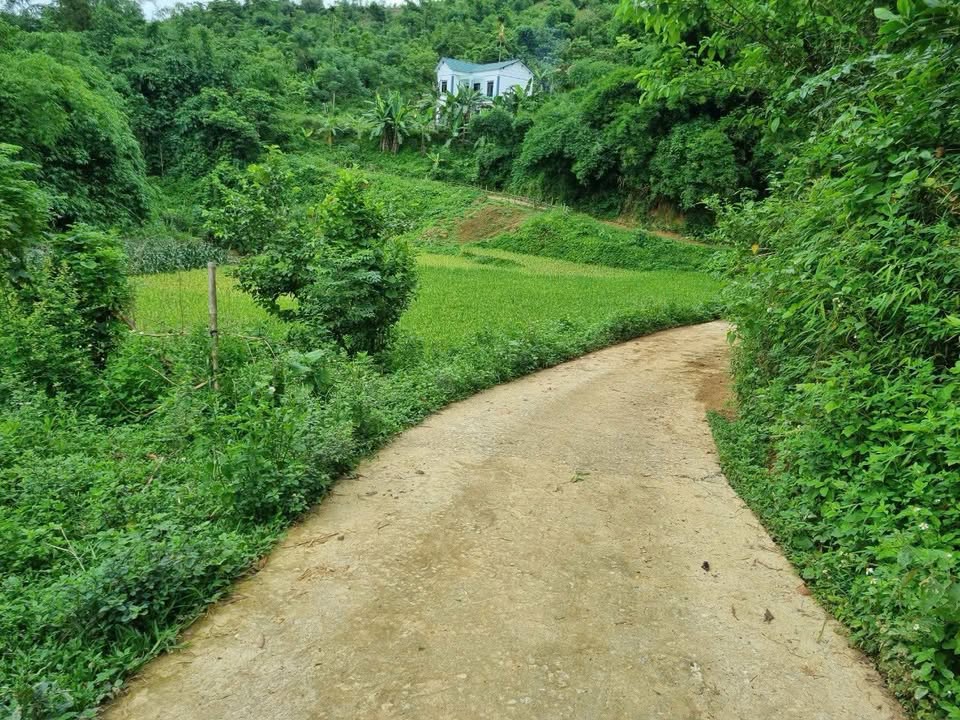 Đất vườn Kim Lập Kim Bôi 6385m² - View đẹp, suối quanh đất