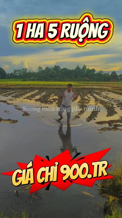 Đất ruộng Lộc Khánh 15.000m² giá 900 triệu - Sổ đỏ chính chủ, đầu tư ngay!