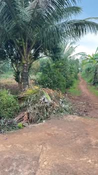 Đất nghỉ dưỡng tại phường Cư Bao, Buôn Hồ - Diện tích 600m², giá thỏa thuận!