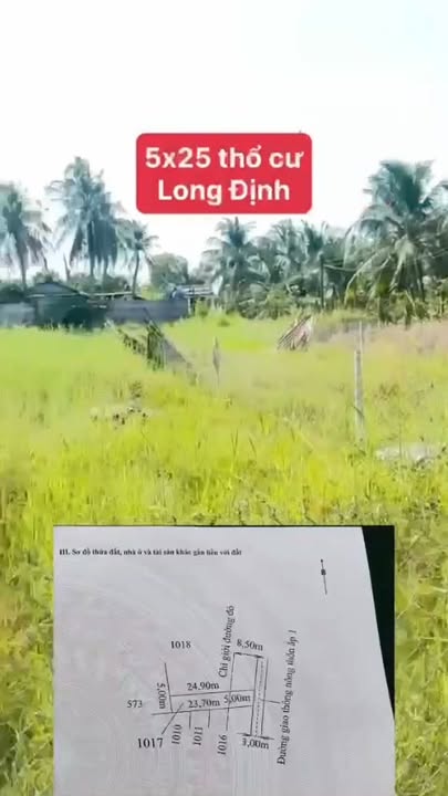 Đất thổ cư 119m² tại ấp 5 xã Long Cang chỉ 890 triệu - Đầu tư sinh lời ngay!
