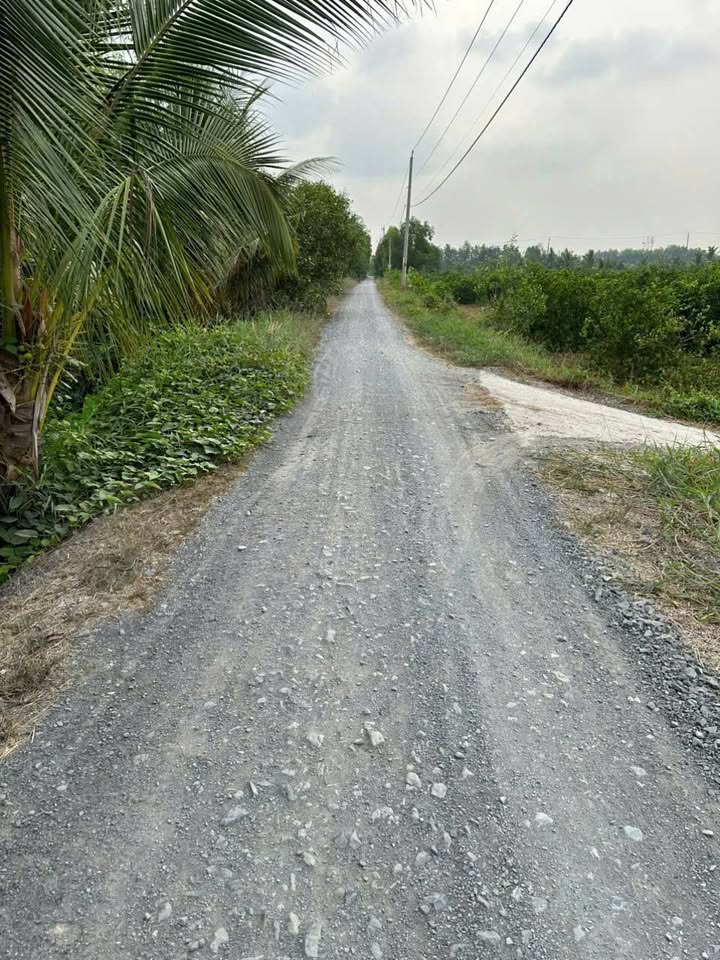 Đất vườn 9.442m² Thạnh Hoà, Bến Lức, Long An - Sổ hồng riêng, giá tốt!