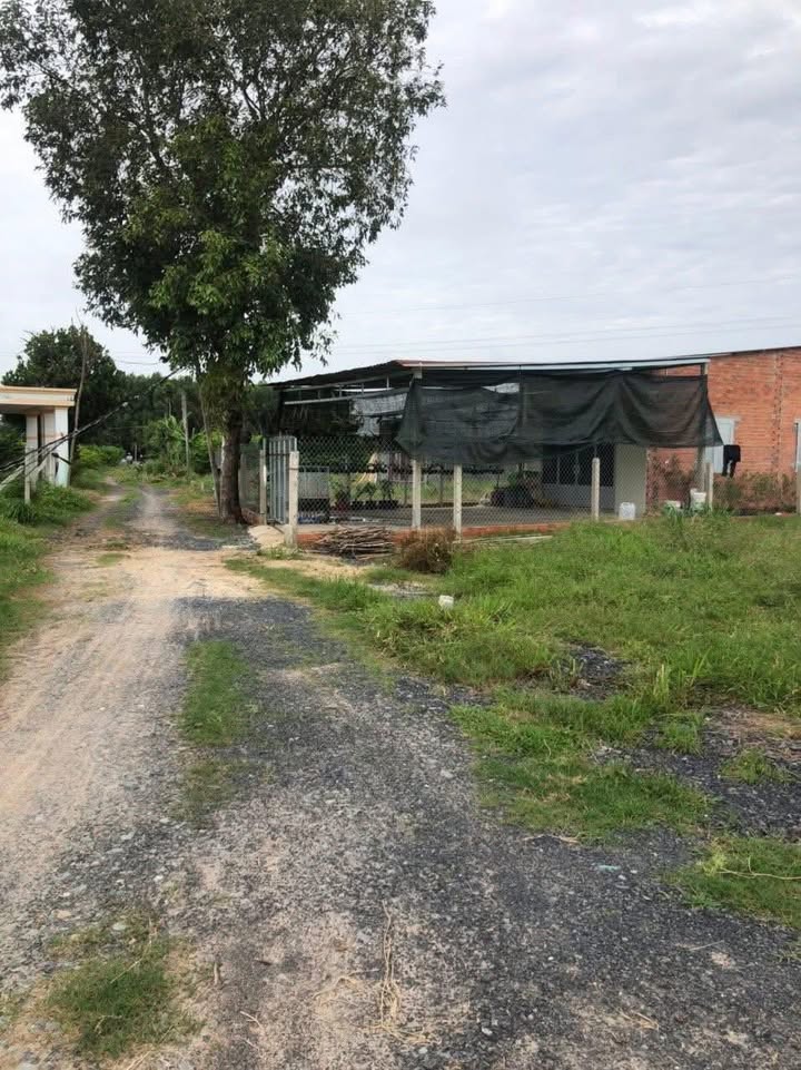 Đất Ninh Phúc, Ninh Thạnh 330m² giá 449 triệu - Sổ đỏ chính chủ!