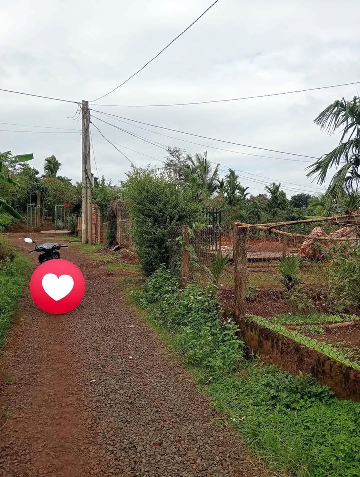 Đất nền Pơng Drang 150m² giá 370 triệu - Cơ hội đầu tư hiếm có!