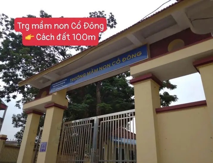 Đất nền Cổ Đông, Sơn Tây 120m² - Bán gấp, sổ đỏ chính chủ!