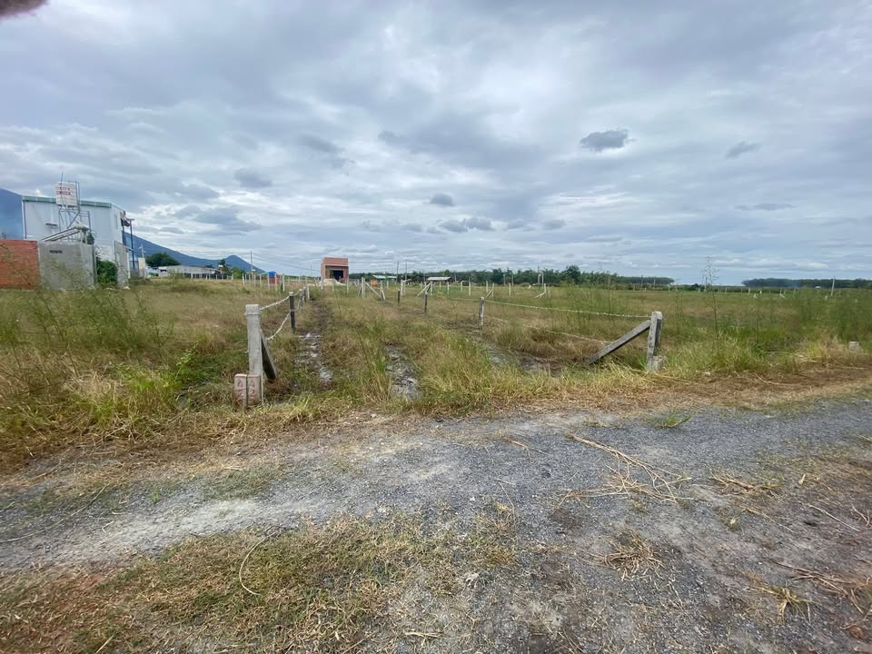 Đất nền Suối Đá, Dương Minh Châu 105m² giá 229 triệu - Đầu tư sinh lời ngay!