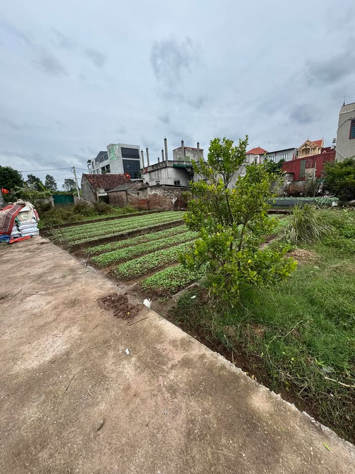 Đất nền Thư Dương, Thường Tín 46.8m² giá 2.65 tỷ - Phong thủy tuyệt đẹp!