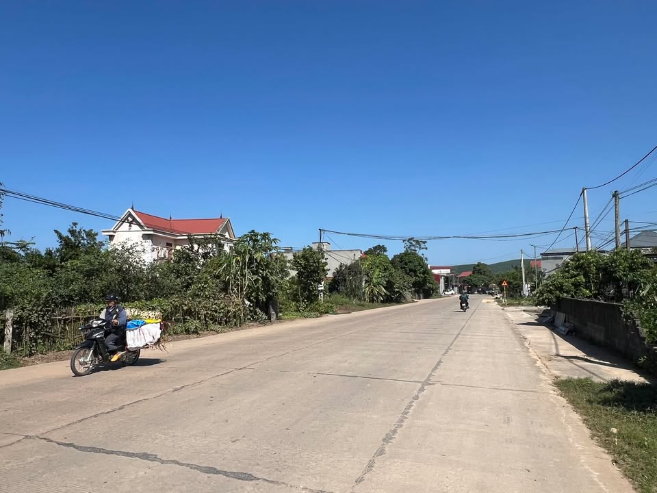 Đất nền mặt đường 293 tại Vô Tranh, Lục Nam 85m² - Kinh doanh thuận lợi!