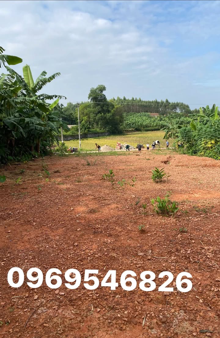 Đất nền Tân Thanh Lạng Giang 500m² giá chỉ 1.3 tỷ - Cơ hội vàng cho nhà vườn!