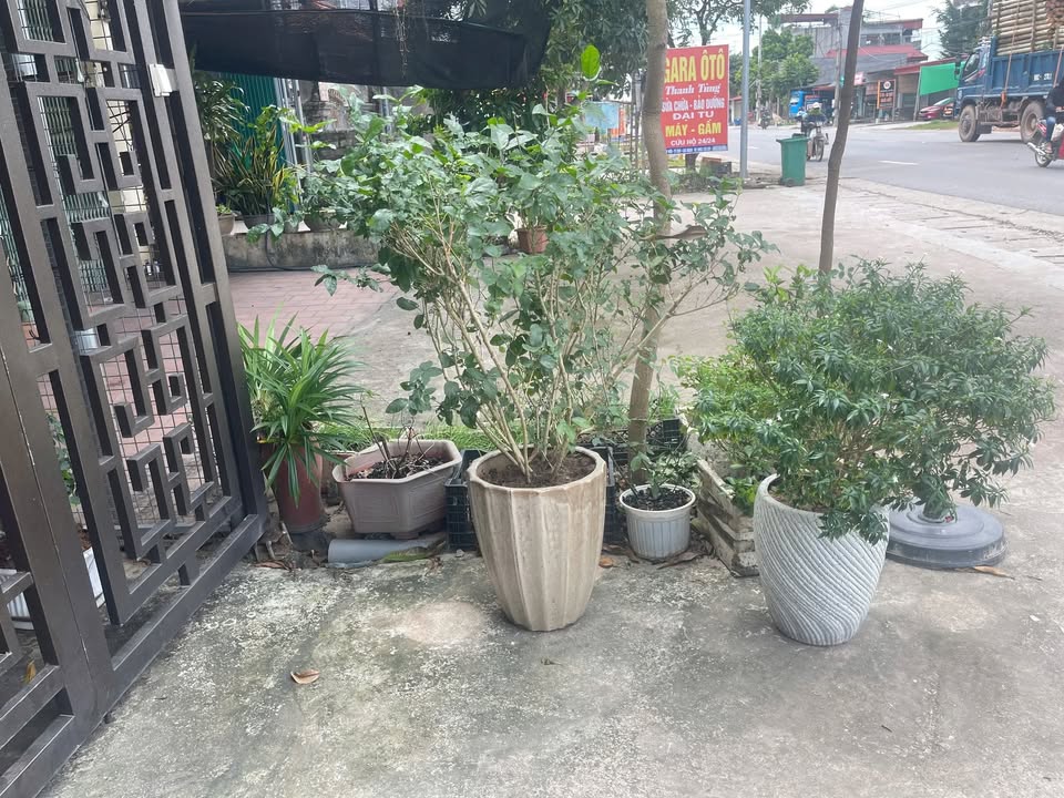 Đất thổ cư 260m² tại Nam Dương, Lục Ngạn, Bắc Giang - Giá chỉ 1.5 tỷ!