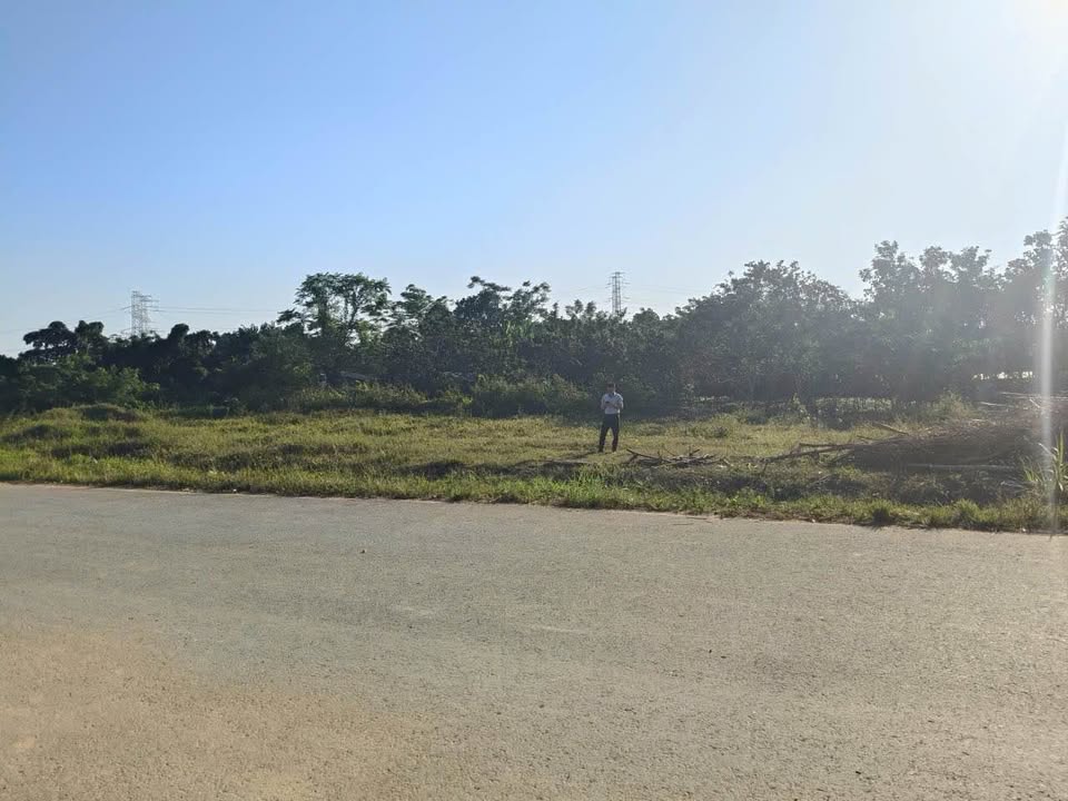 Đất nền liền kề mặt đường Âu Cơ, xã Liên Hoa, Phù Ninh - Cơ hội đầu tư tuyệt vời!