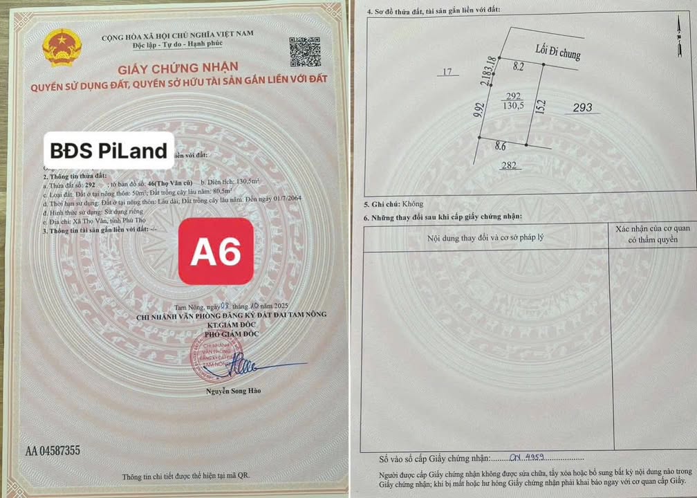 Đất nền 130m² Thọ Văn, Tam Nông - Giá chỉ 600 triệu - Nở hậu lý tưởng!