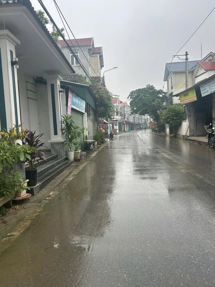 Đất nền Bạch Hạc 149.6m² giá 1 tỷ - Hướng Tây Bắc, vị trí đẹp!