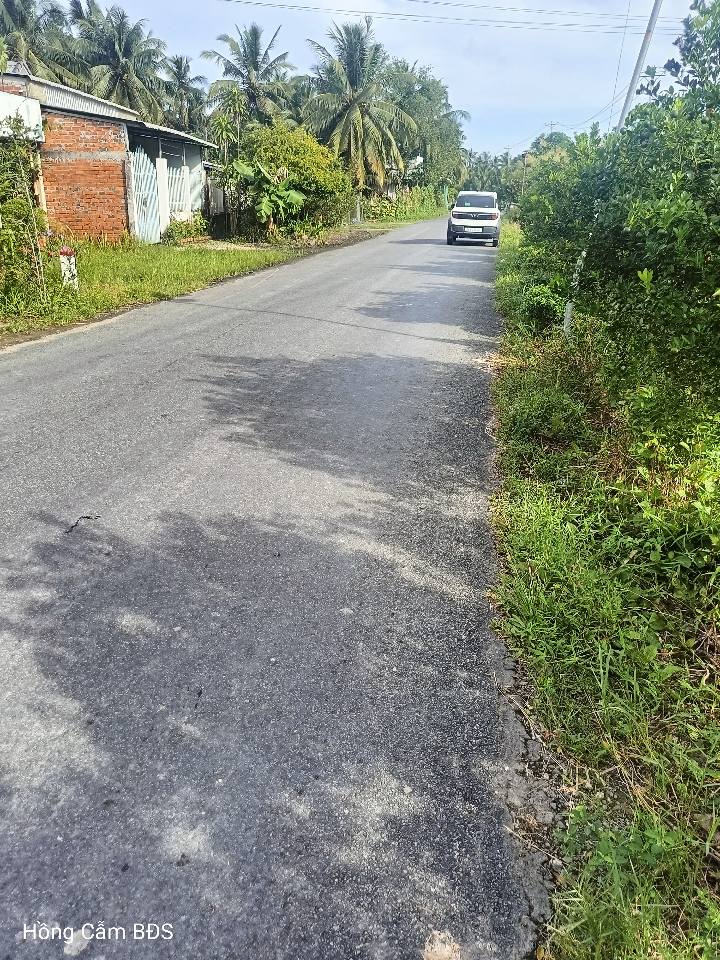 Đất nền mặt tiền Hòa Bình, Cần Giuộc 100m² giá 400 triệu - Cơ hội đầu tư tốt!