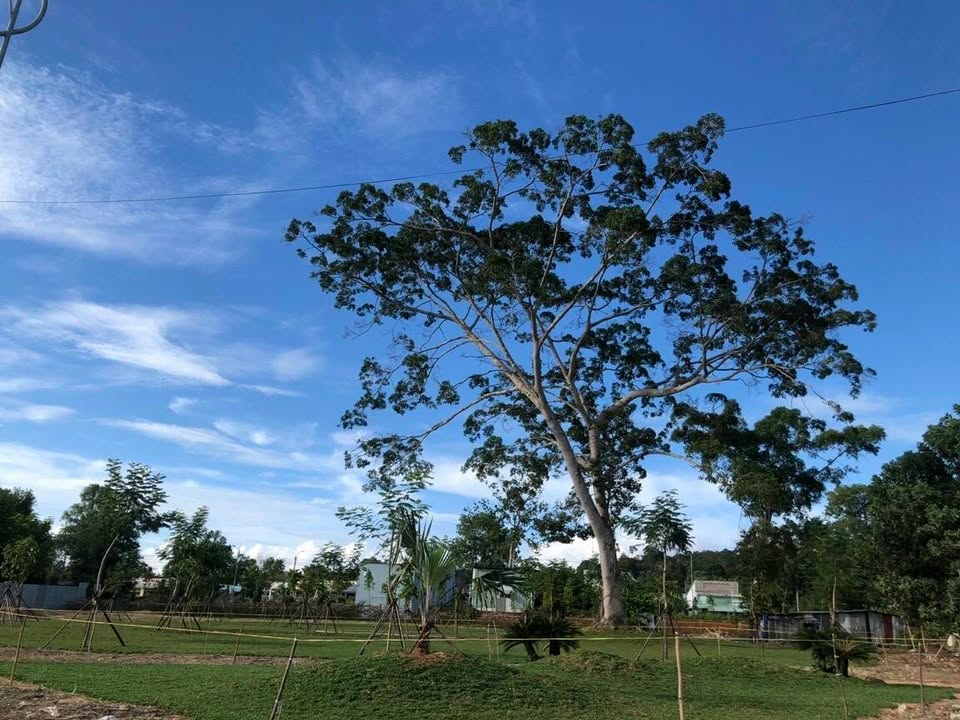 Đất nền Tái Định Cư Gành Dầu 120m² giá tốt - Đầu tư sinh lời!