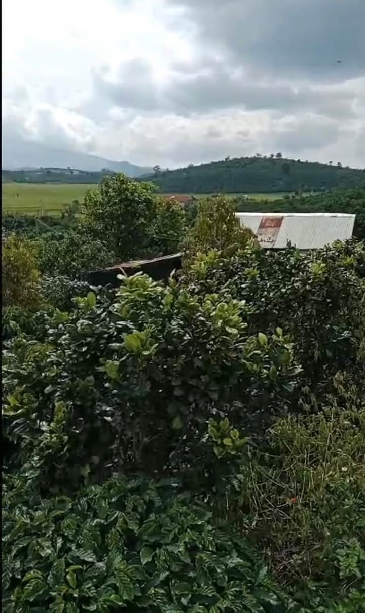 Đất cà phê 6,8 sào tại Gung Ré, Di Linh giá 680 triệu - Sổ đỏ chính chủ!