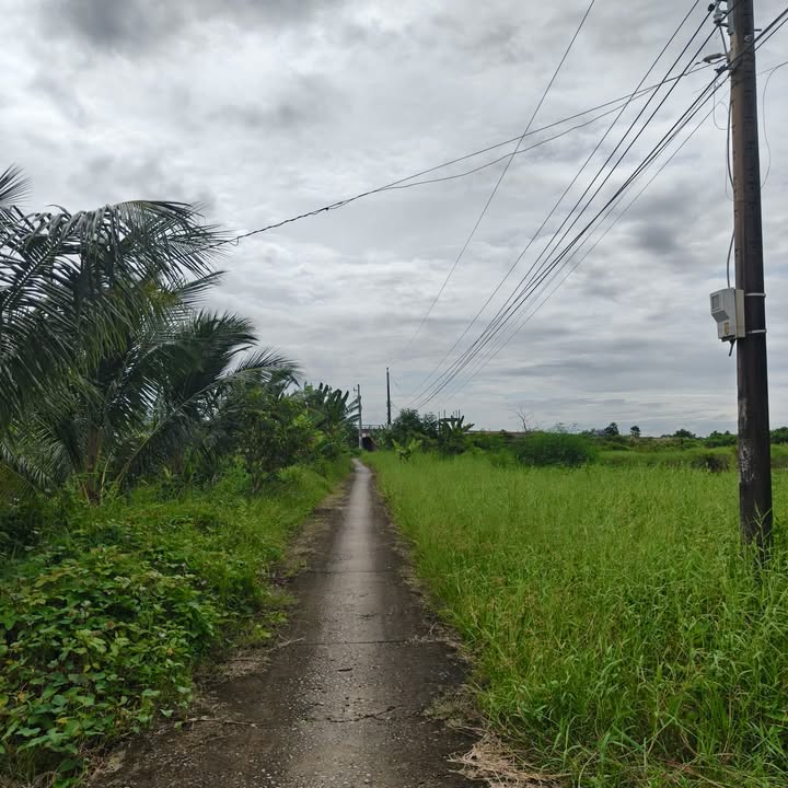 Đất mặt tiền 4340m² tại Phường Hoà Thành - Giá tốt, đầu tư sinh lời!