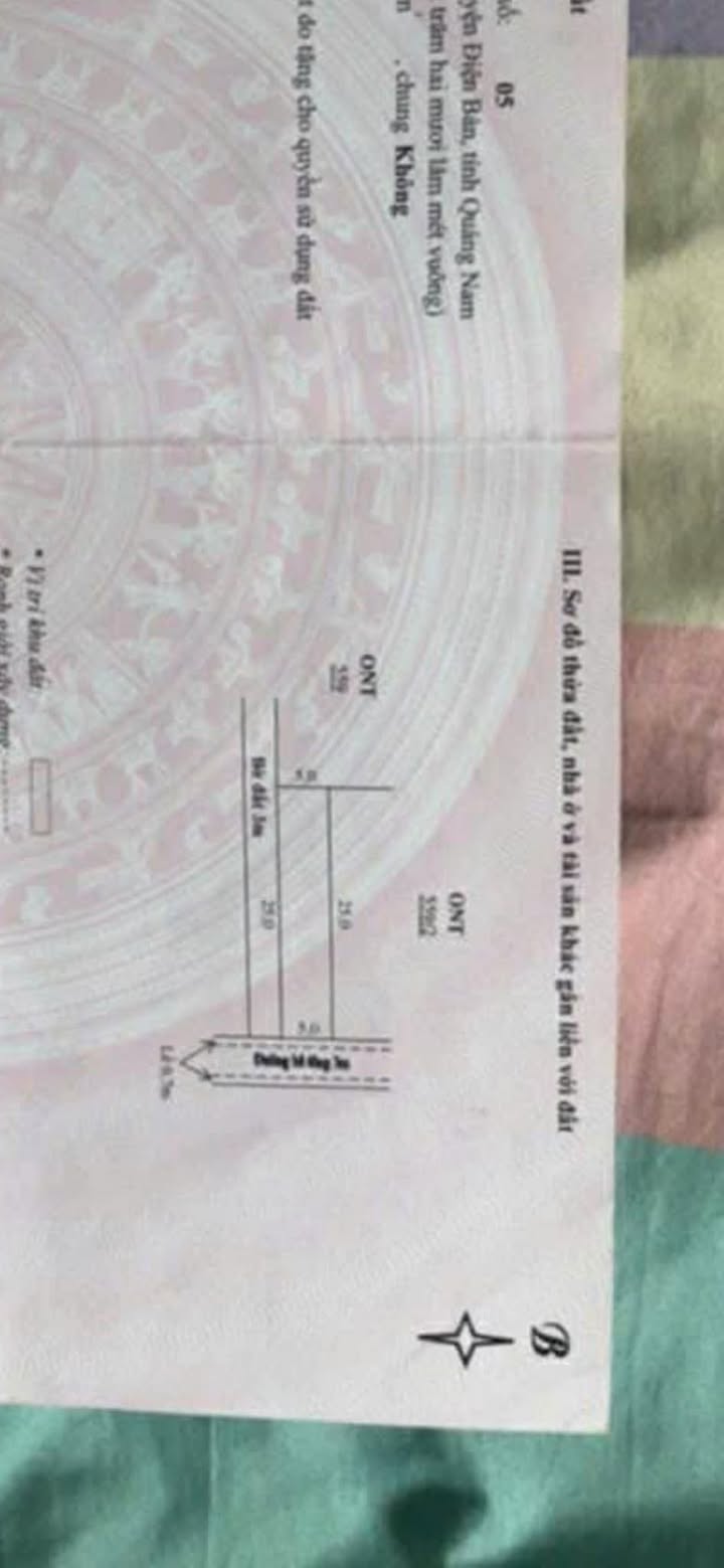 Đất nền chính chủ tại Điện Ngọc 125m² giá 2.5 tỷ - Đường ô tô thông thoáng