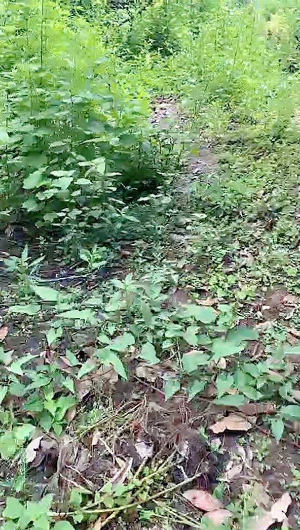 Đất nền đẹp tại xã Tân Hoà, huyện Tân Hiệp, 384m² giá chỉ 420 triệu - Sổ hồng chính chủ!