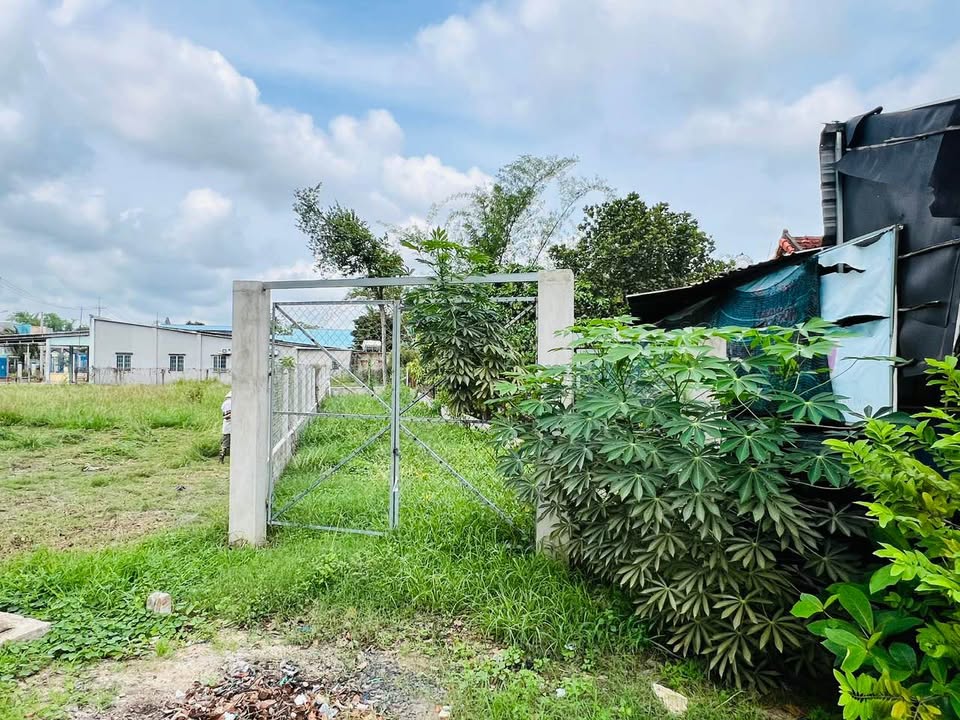 Đất thổ cư 180m² tại xã Thái Mỹ, huyện Củ Chi - Giá chỉ 2.8 tỷ, xây dựng ngay!