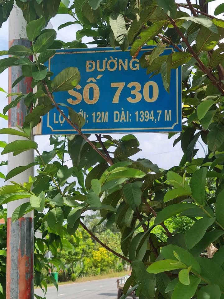 Đất lúa 2167m² tại Xã Trung Lập Thượng, Củ Chi - Giá chỉ 3 tỷ