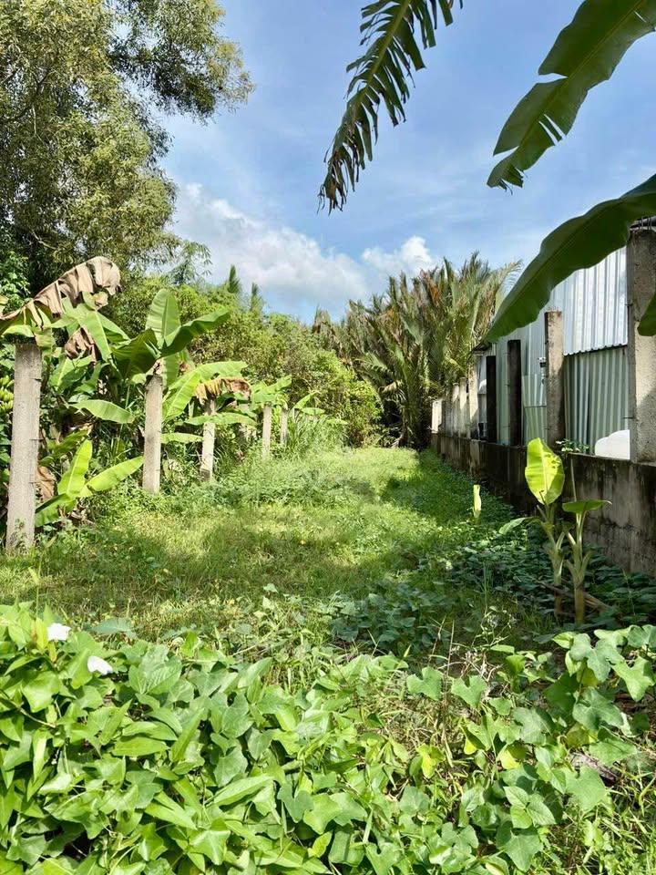 Nhà mặt tiền đường DH35, xã Long Hưng, Tiền Giang 92m² - Kinh doanh ngay!